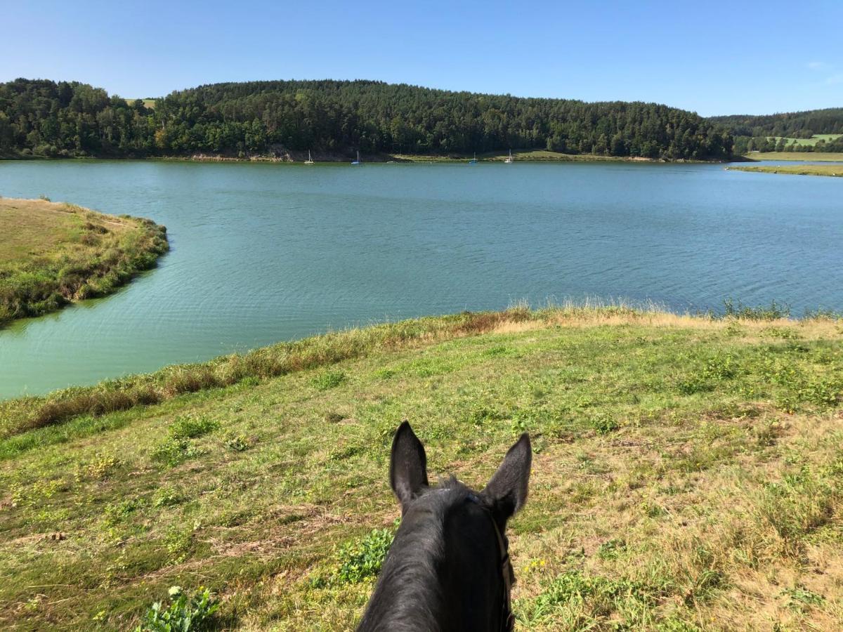 Pension & Reitschule Fuchsenhof Seebarn Eksteriør bilde