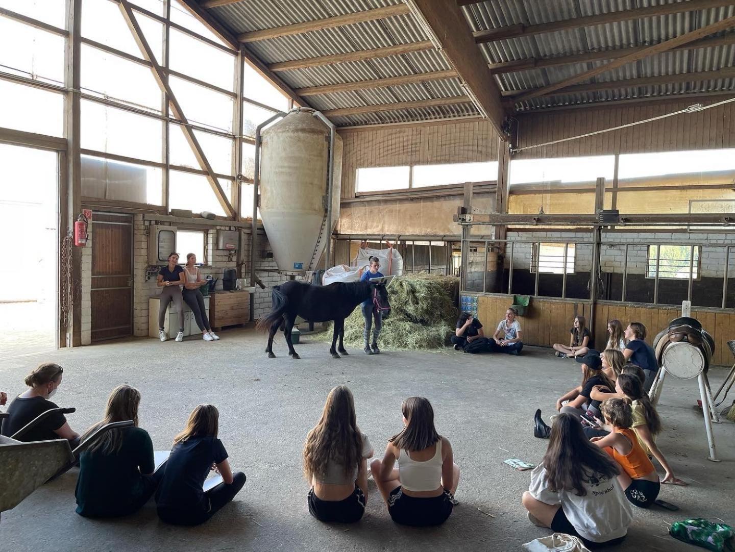 Pension & Reitschule Fuchsenhof Seebarn Eksteriør bilde