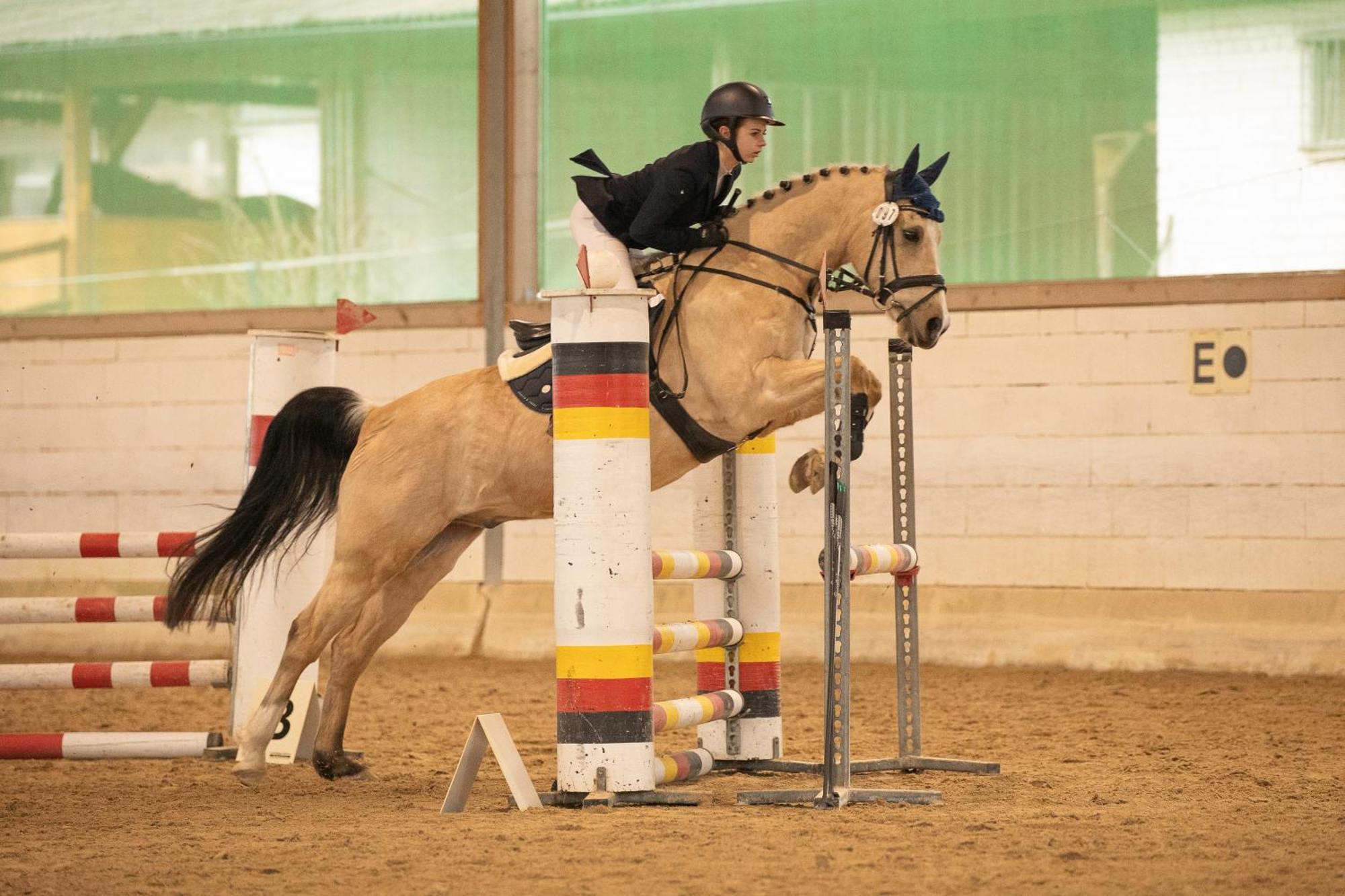 Pension & Reitschule Fuchsenhof Seebarn Eksteriør bilde