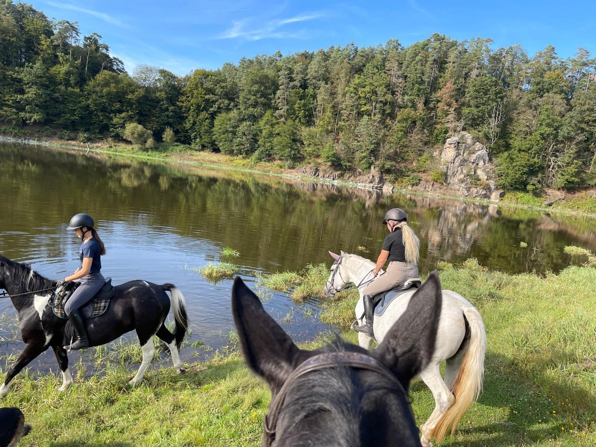 Pension & Reitschule Fuchsenhof Seebarn Eksteriør bilde