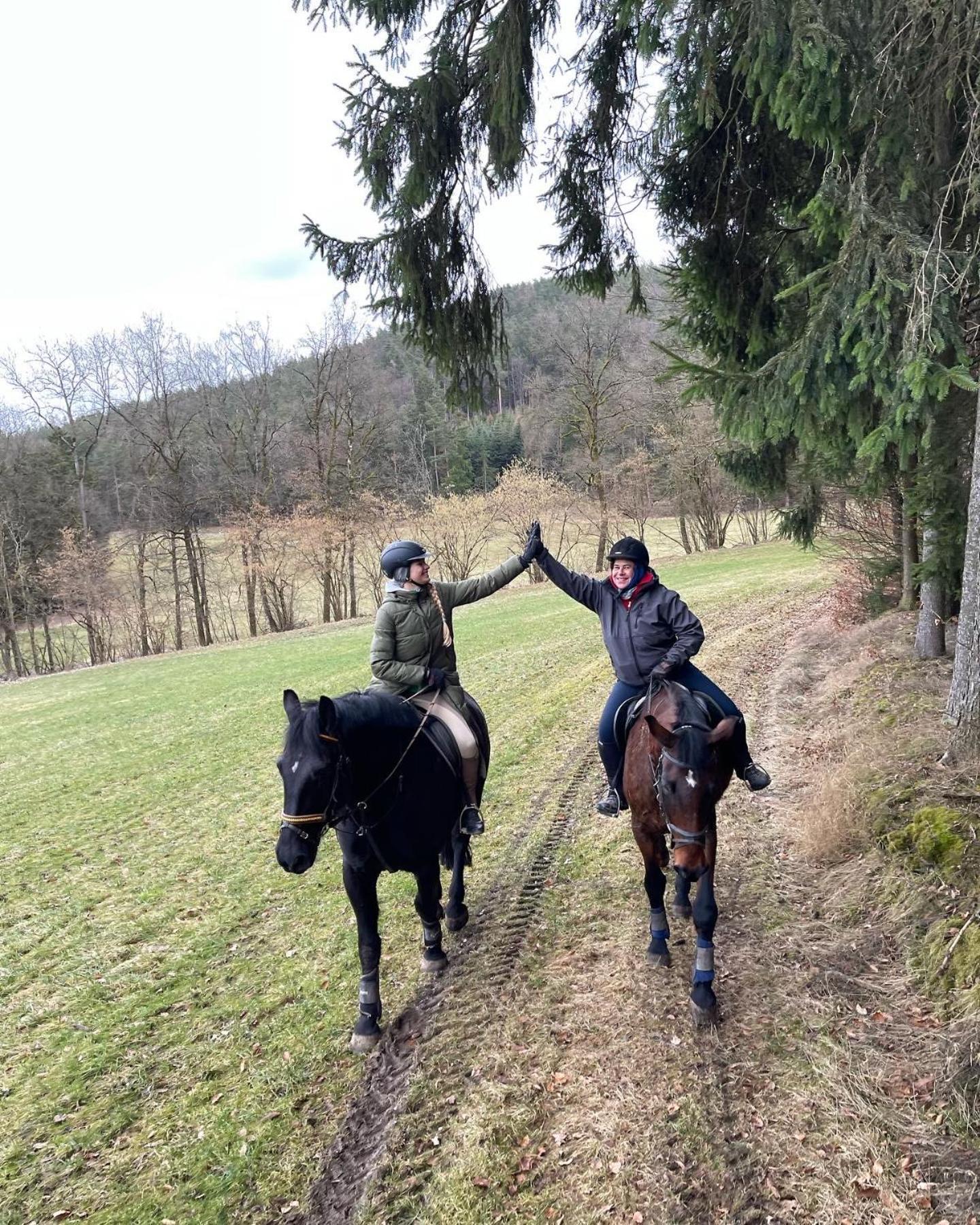Pension & Reitschule Fuchsenhof Seebarn Eksteriør bilde