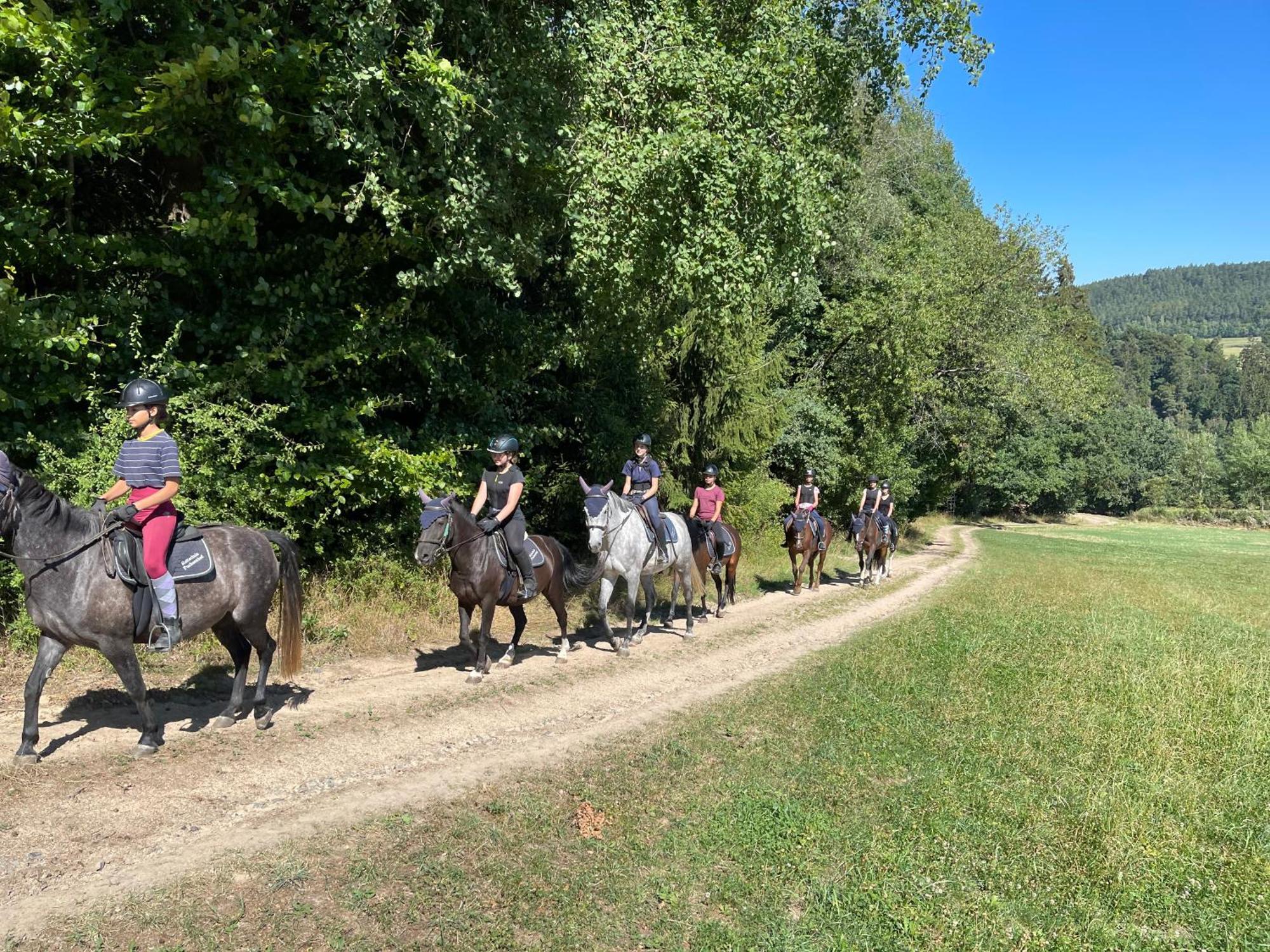 Pension & Reitschule Fuchsenhof Seebarn Eksteriør bilde